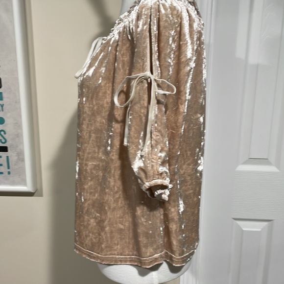 NWT hem & thread tan crushed velvet off-shoulder top. Romantic with bows. - Picture 6 of 12